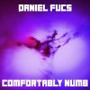 Download track Comfortably Numb (Radio Edit)