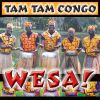 Download track Bana Ya Congo