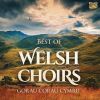 Download track Yr Ehedydd (Arr. E. Dafydd For Choir)