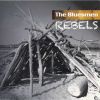 Download track Where Are All The Rebels?