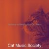 Download track Phenomenal Solo Piano Jazz - Vibe For Cute Cats