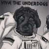 Download track Viva The Underdogs