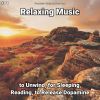 Download track Relaxing Music, Pt. 23