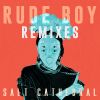 Download track Rude Boy (Salt Cathedral Remix)