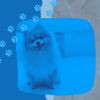 Download track Chilled Ambience For Calming Puppies