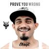 Download track Prove You Wrong