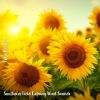 Download track Sunflower Field Calming Wind Sounds, Pt. 10