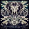 Download track Changing Shapes Of Consciousness