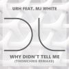 Download track Why Didn't Tell Me (ThomChris Soulful Remake Instrumental)