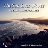 Download track Sea With Loud Waves And Distant Seagulls