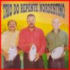 Download track Vivo Em Paz