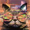 Download track Cool Cats & Groovy Chicks (Original Mix)