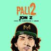 Download track Pali2