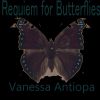 Download track Lepidoptera