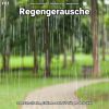 Download track Regengeräusche, Pt. 47