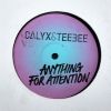 Download track Anything For Attention