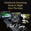 Download track Birds In Flight (Piano Solo)