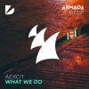 Download track What We Do (Extended Mix)