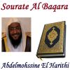 Download track Sourate Al Baqara, Pt. 2 (Hafs Muratal)