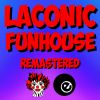 Download track Funhouse (Radio Mix)