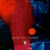 Download track Dusk Till Dawn (LOFI)