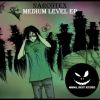 Download track Medium Level (Original Mix)