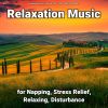 Download track Curing Relaxation Music