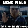 Download track Chetos Y Cumbieros (Cierre) (En Vivo)