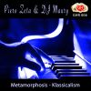 Download track Metamorphosis