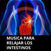 Download track Relajación Para El Síndrome De Intestino Irritable