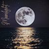 Download track Moonlight (Extended)