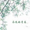 Download track 永远的青春-16