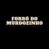 Download track Forrozinho