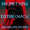 Download track DXTER CHAOS (BRAZILIAN PHONK)