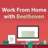 Download track Beethoven: 6 Minuets For Two Violins & Bass, WoO 9 - No. 4 In F Major