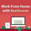 Download track Beethoven: 6 Minuets For Two Violins & Bass, WoO 9 - No. 5 In D Major