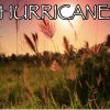 Download track Hurricane - Tribute To Luke Combs (Instrumental Version)