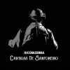 Download track Cantigas De Um Passarinho Quase Á Toa