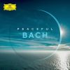 Download track J. S. Bach: Prelude For Lute In C Minor, BWV 999 (Transcr. For Guitar In D Minor)