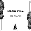 Download track Night Raven