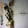 Download track Fell (Nightflower Remix)