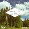 Download track Evergreen (Radio Edit)