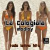 Download track Latin Megamix Medley: Tic Tic Tac / E-O-Tchan / El Menaito / La Colegiala / Macarena (Todo Latino Hits)