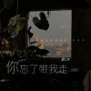 Download track 你忘了带我走 (伴奏)