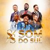 Download track Som Do Sul