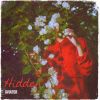 Download track Hidden