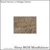 Download track The Resonance Of Mental Care Echoes For A Calm Slumber