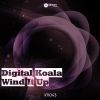 Download track Wind It Up