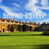 Download track Quiet University Campus Evening Sounds, Pt. 12