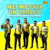 Download track Me Importa Un Carajo